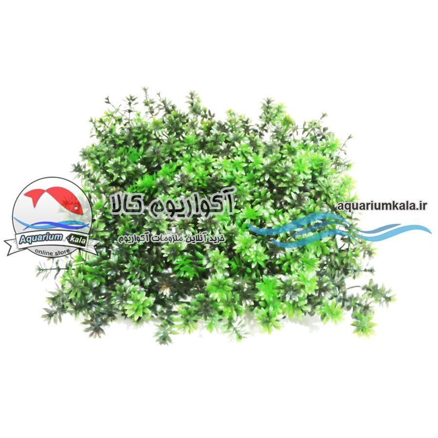 چمن مصنوعی آکواریوم کد 539