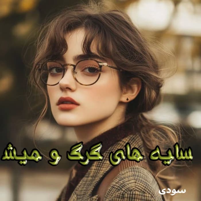 رمان سایه های گرگ و میش اثر سودی | دانلود | کتاب خوان