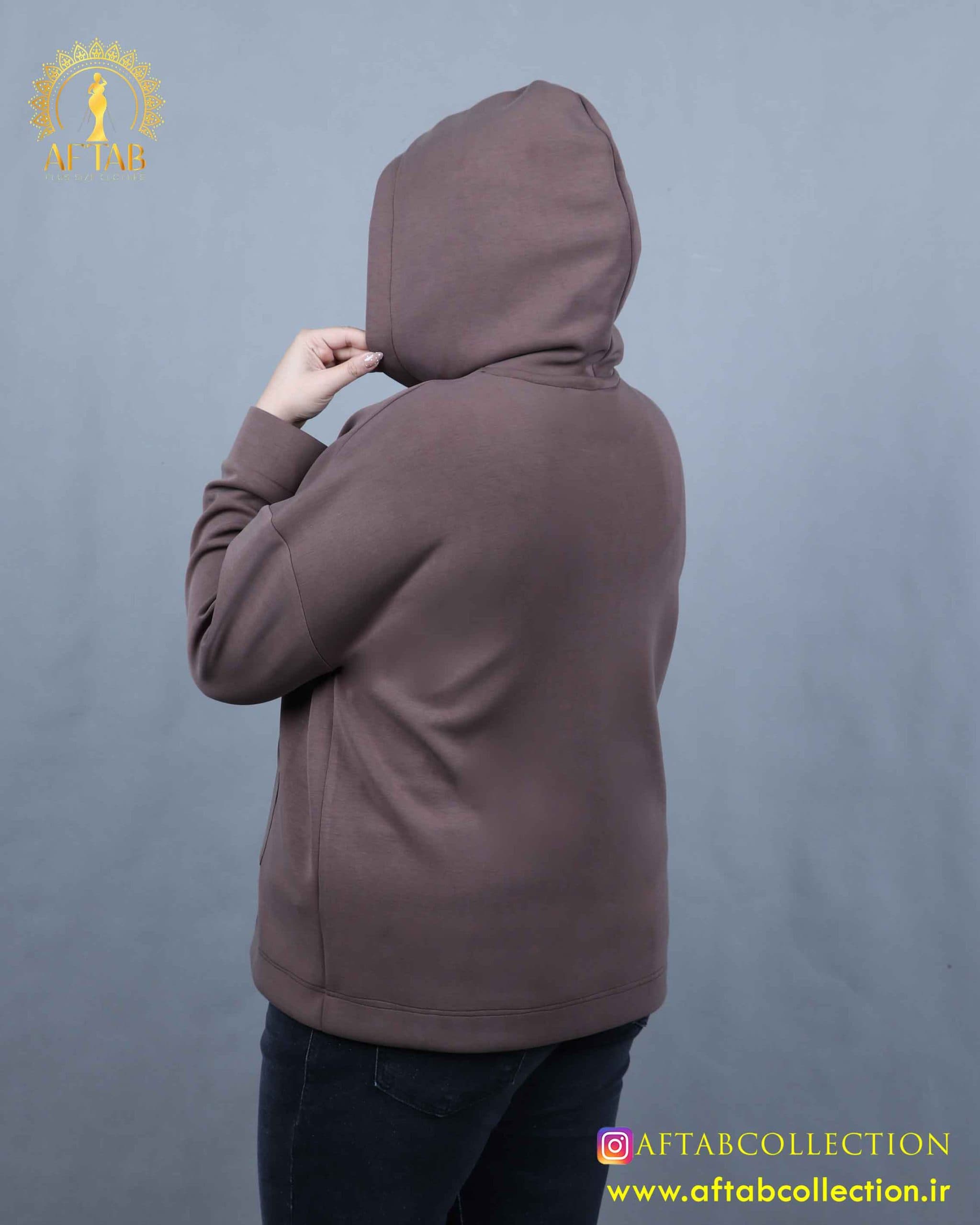 هودی اویشو سایزبزرگ 6103 — تصویر ۲
