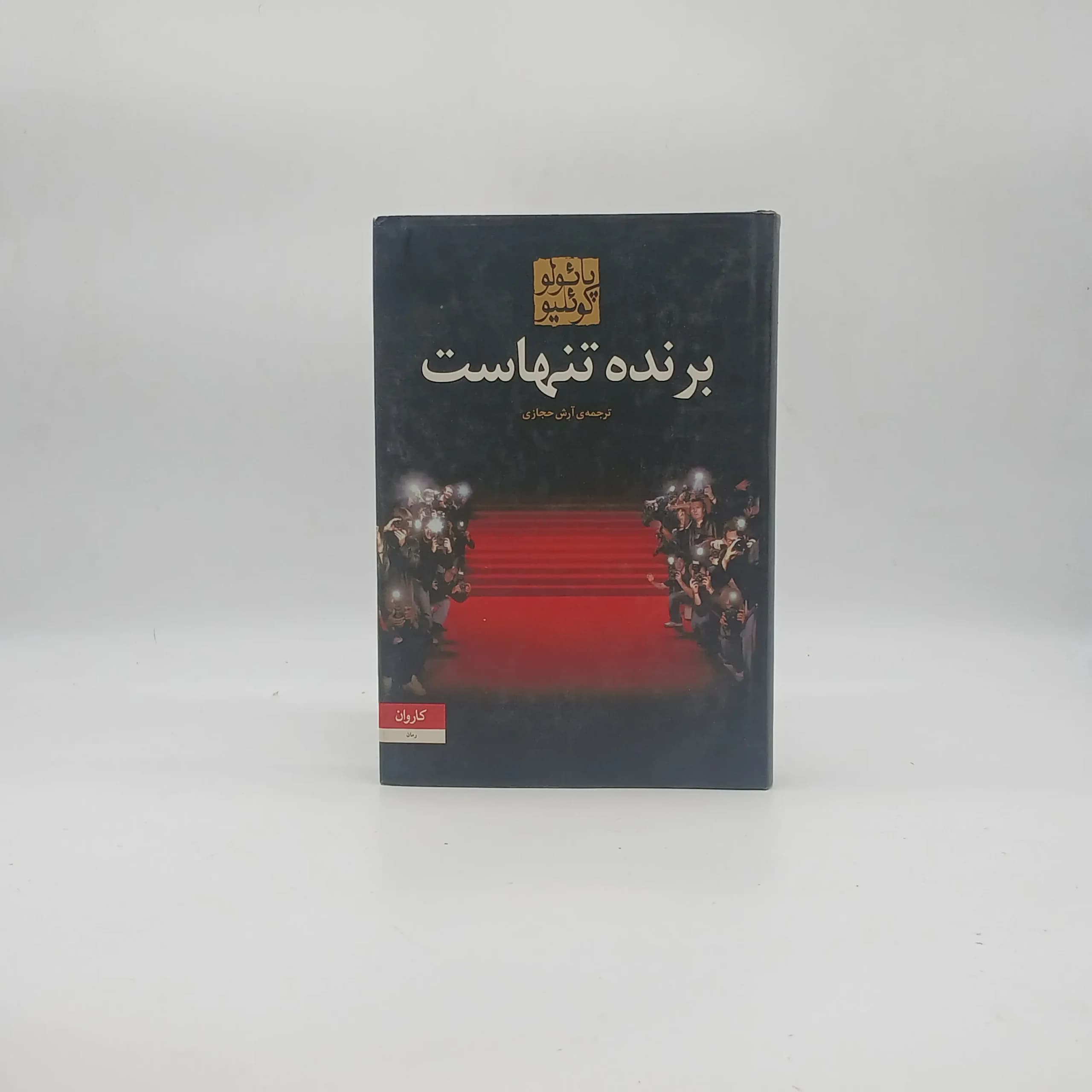 برنده تنهاست — تصویر ۴