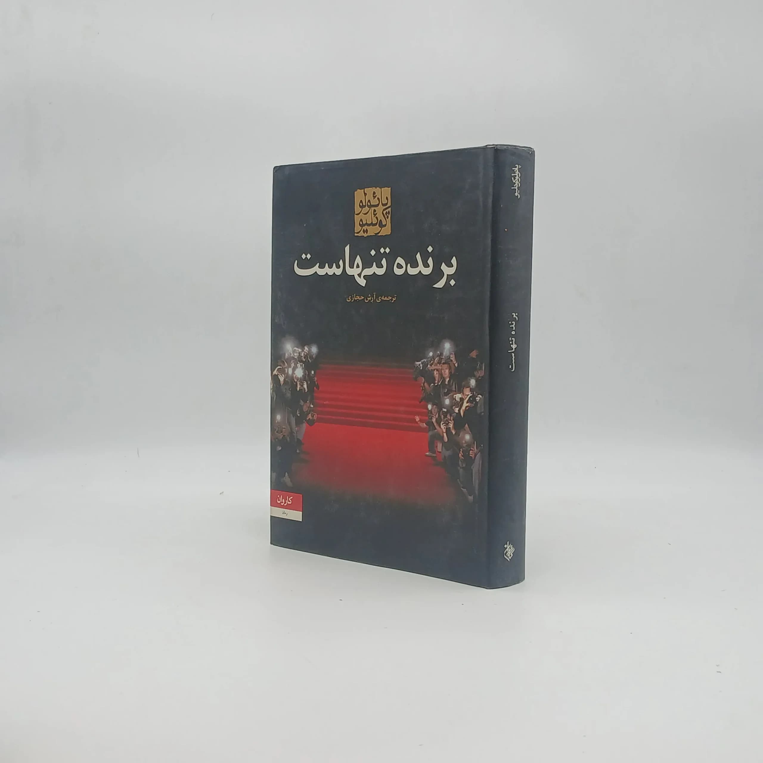 برنده تنهاست — تصویر ۶