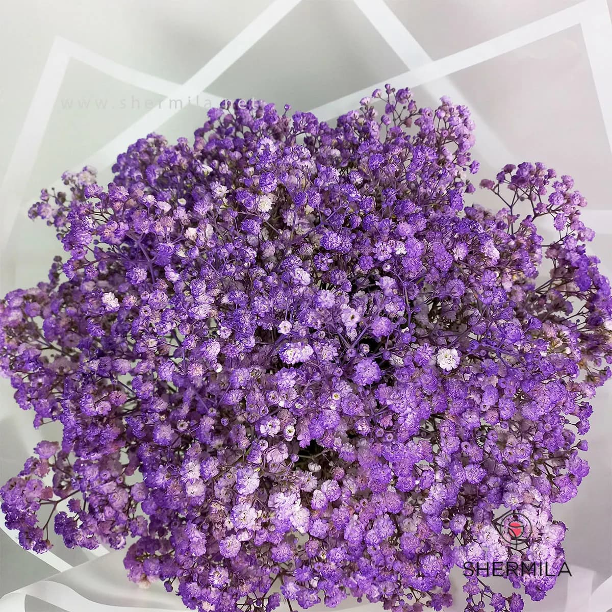 دسته گل ملورین — تصویر ۳