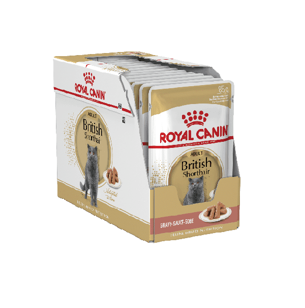 پوچ گربه رویال کنین مدل british shorthair وزن 85 گرم بسته 12 عددی