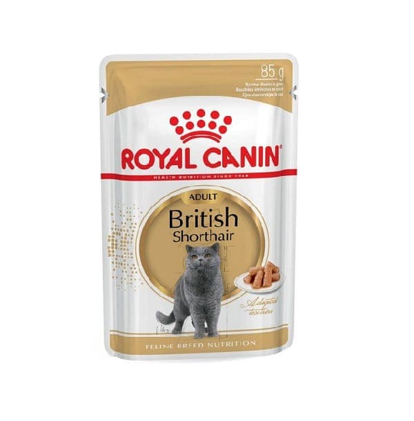 پوچ گربه رویال کنین مدل British shorthair وزن 85 گرم
