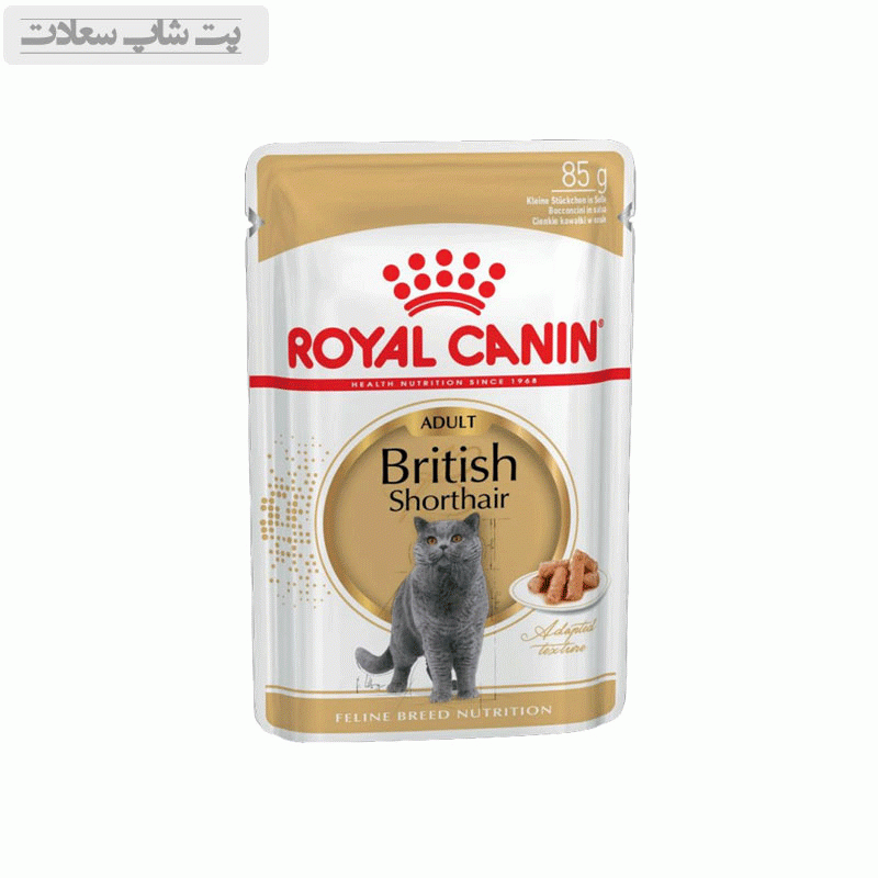 پوچ گربه رویال کنین مدل British shorthair وزن 85 گرم — تصویر ۲