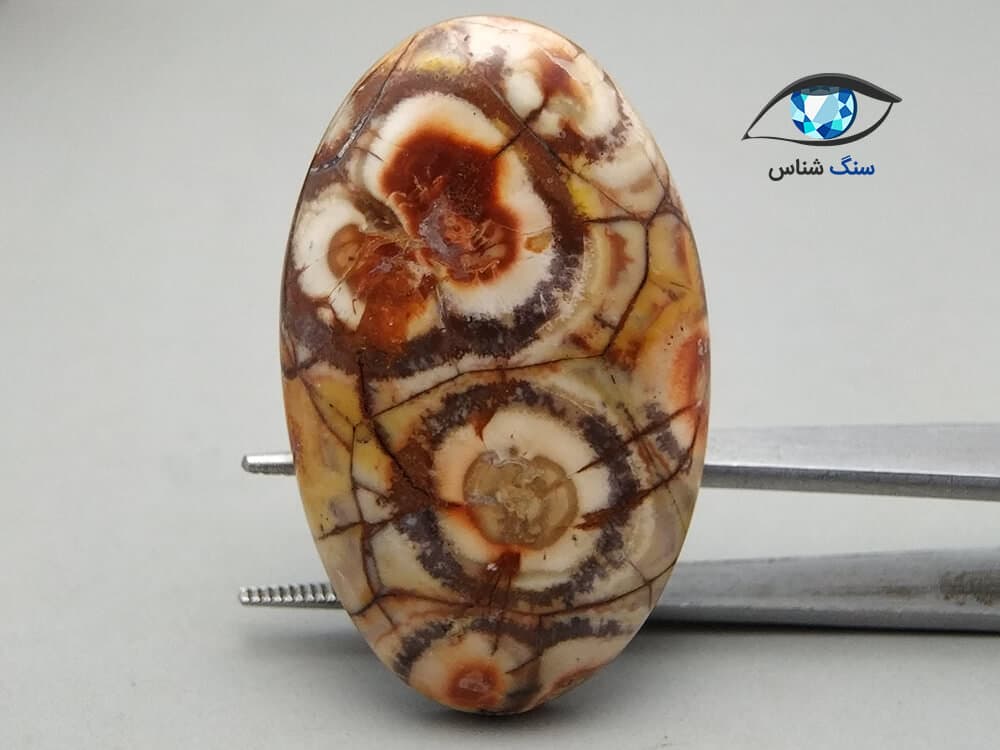 جاسپر چشم پرنده درشت 9.2 گرم