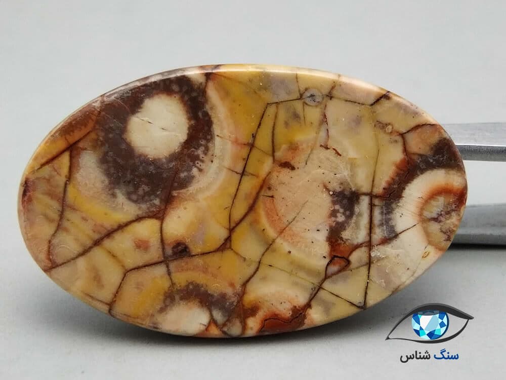 جاسپر چشم پرنده درشت 9.2 گرم — تصویر ۳