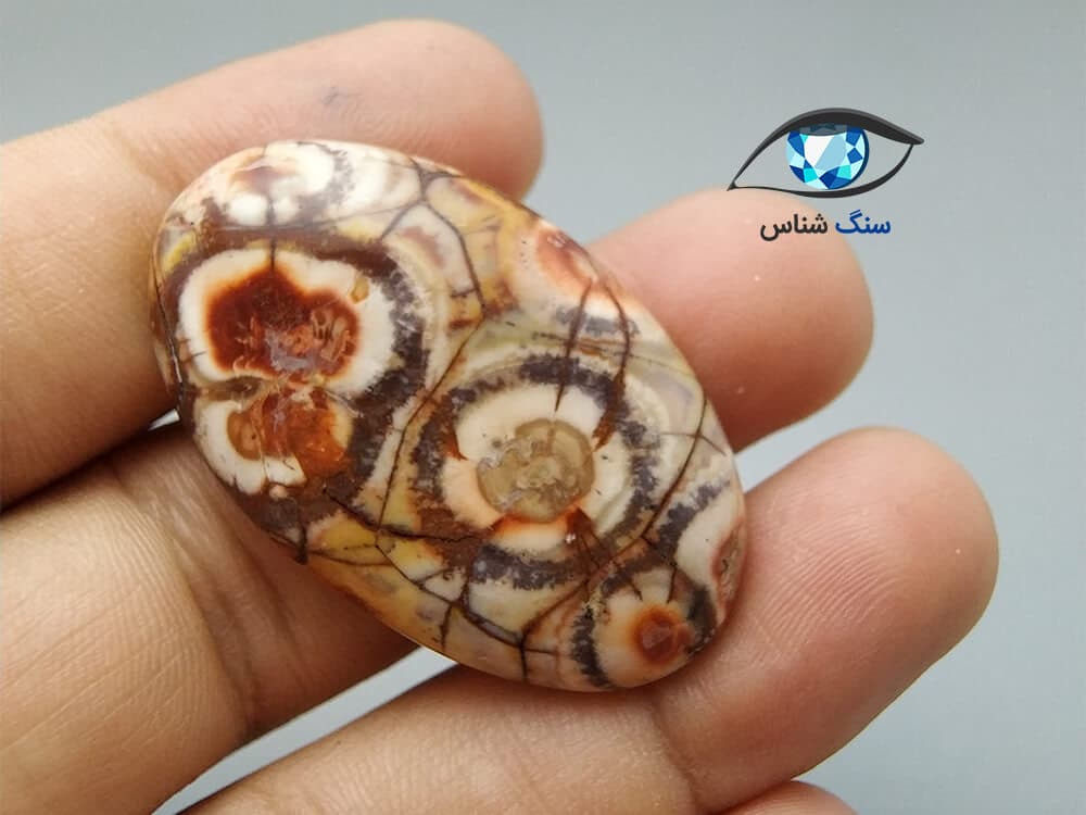 جاسپر چشم پرنده درشت 9.2 گرم — تصویر ۲