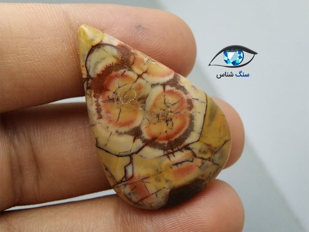 سنگ جاسپر چشم پرنده اشکی 7.3 گرم — تصویر ۲