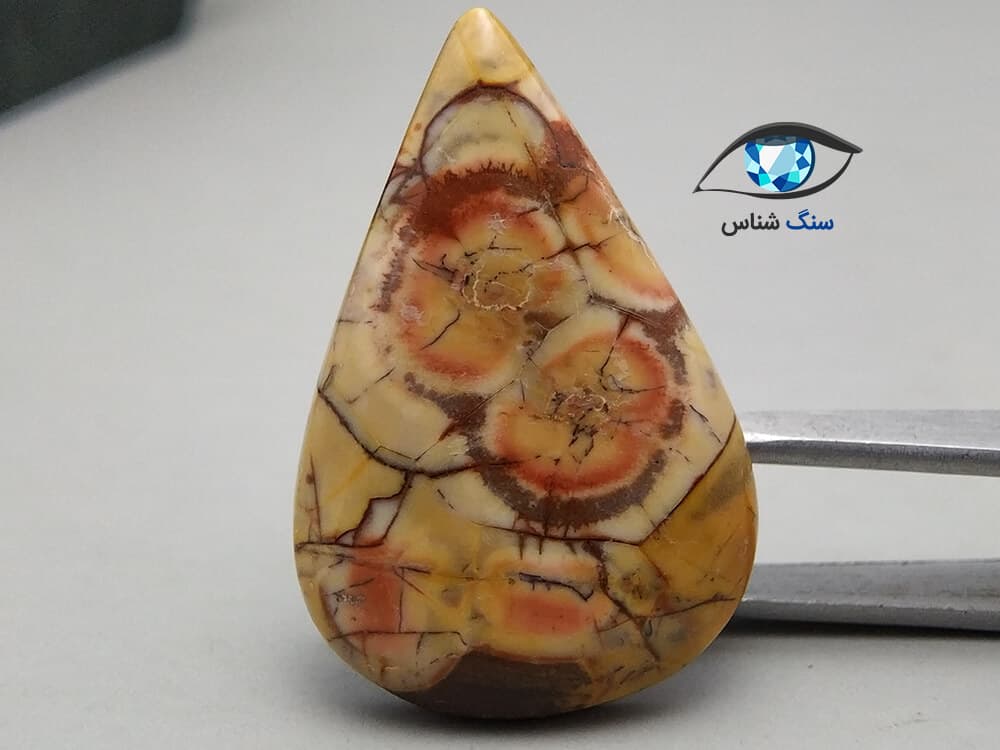 سنگ جاسپر چشم پرنده اشکی 7.3 گرم