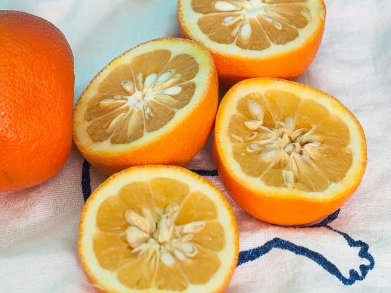 بذر نارنج درجه یک — تصویر ۲