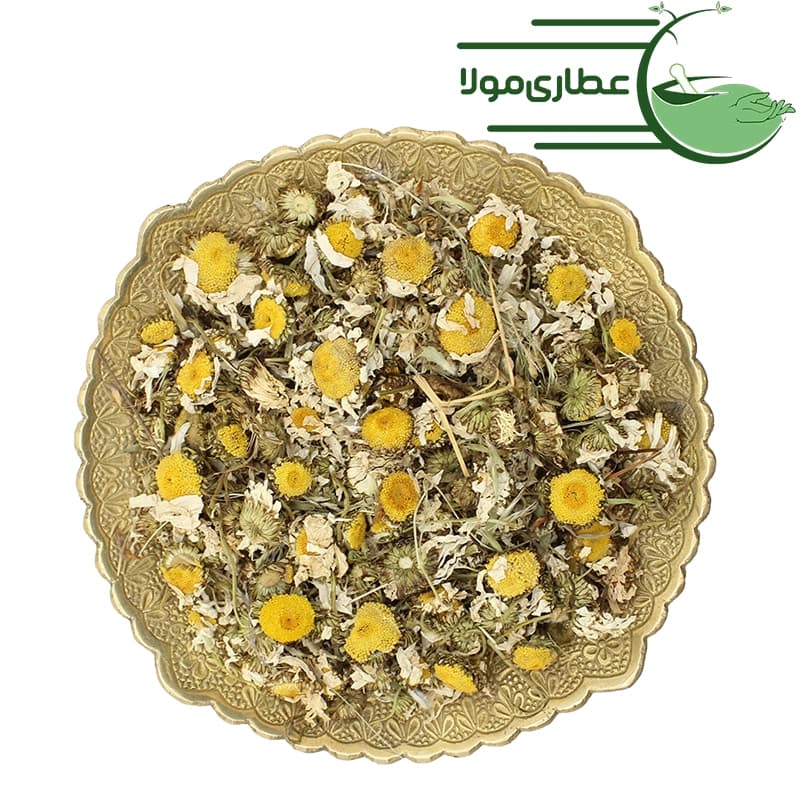 بابونه گاوی — تصویر ۲