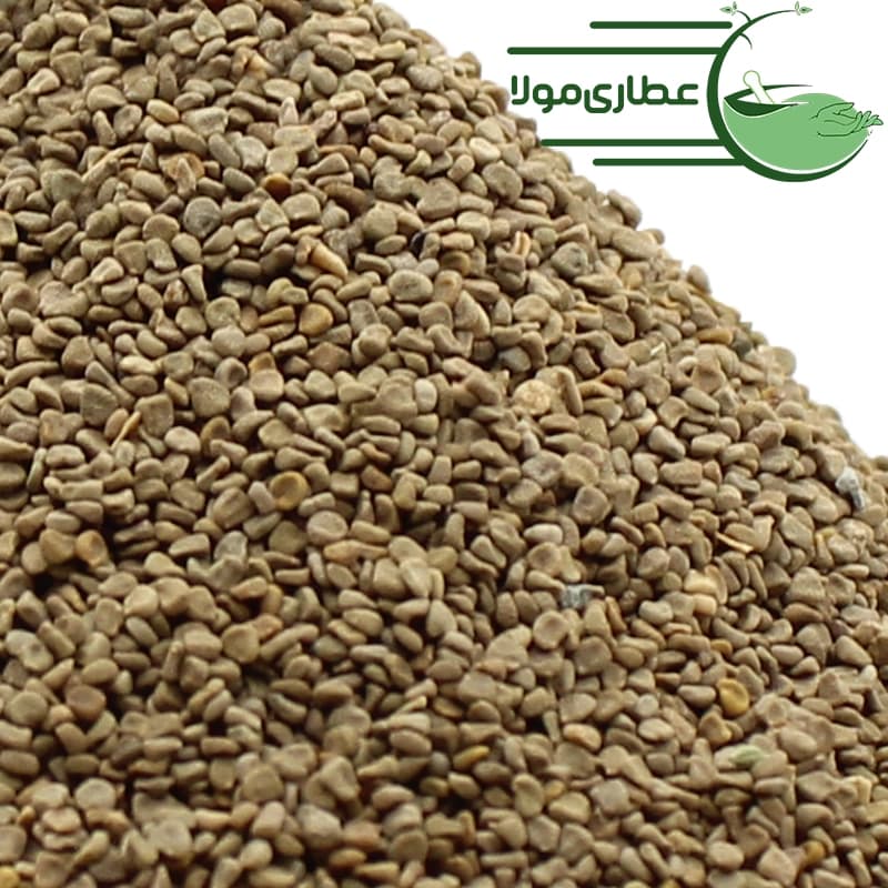 بذر البنج