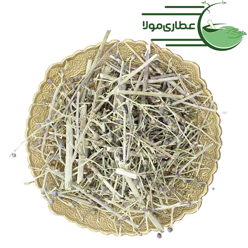 سیم اوتی — تصویر ۲