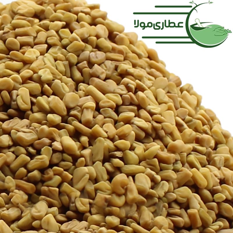 تخم شنبلیله هندی
