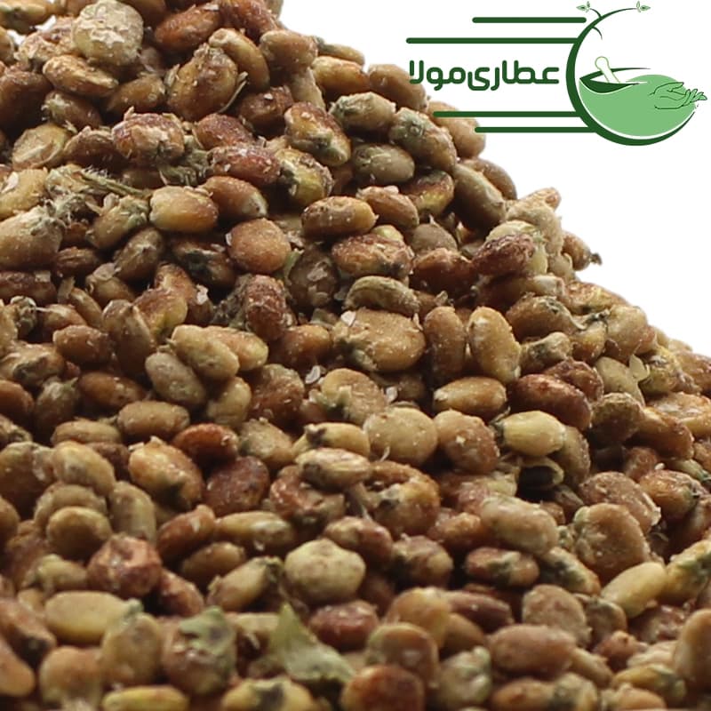 سماق قهوه‌ای کردستان