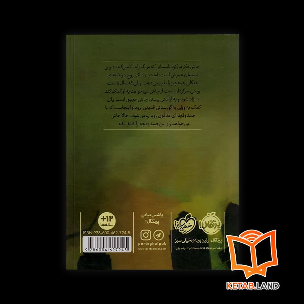 کتاب صندوقچه مدفون — تصویر ۳
