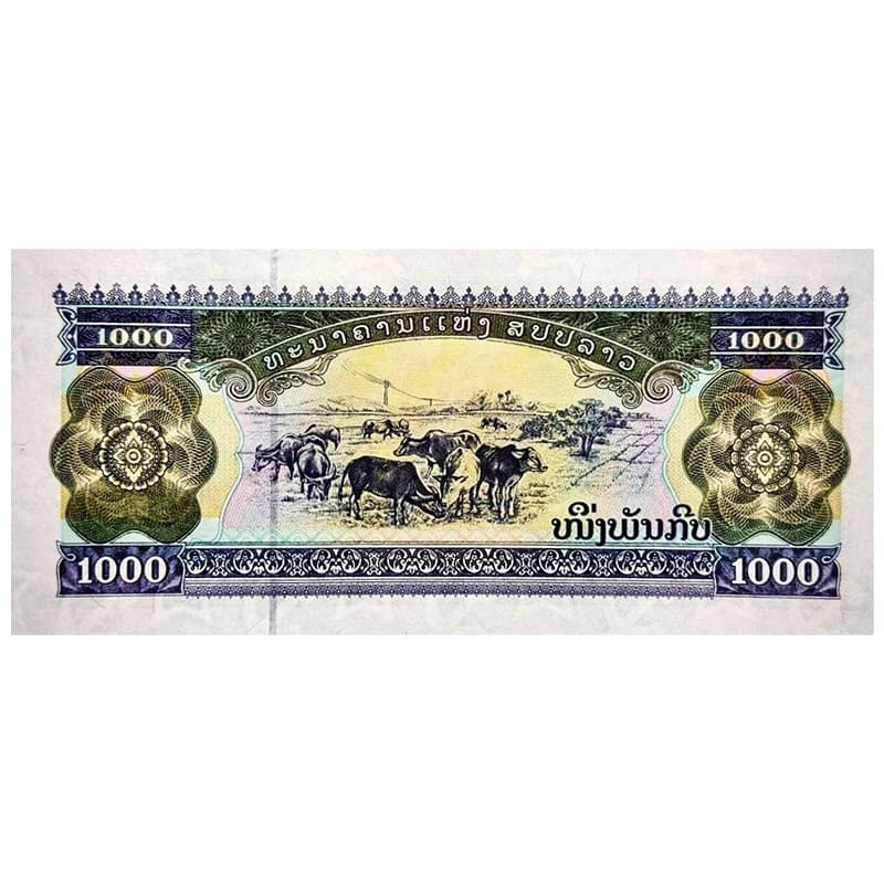 اسکناس 1000 کیپ لائوس 2003 — تصویر ۲
