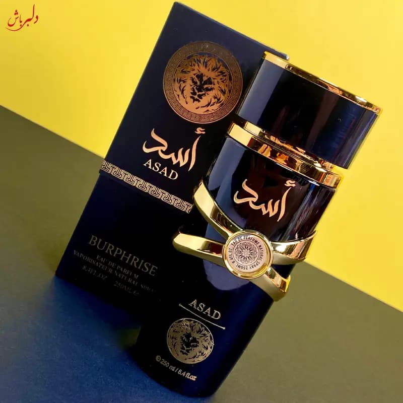 بادی اسپلش عربی اسد