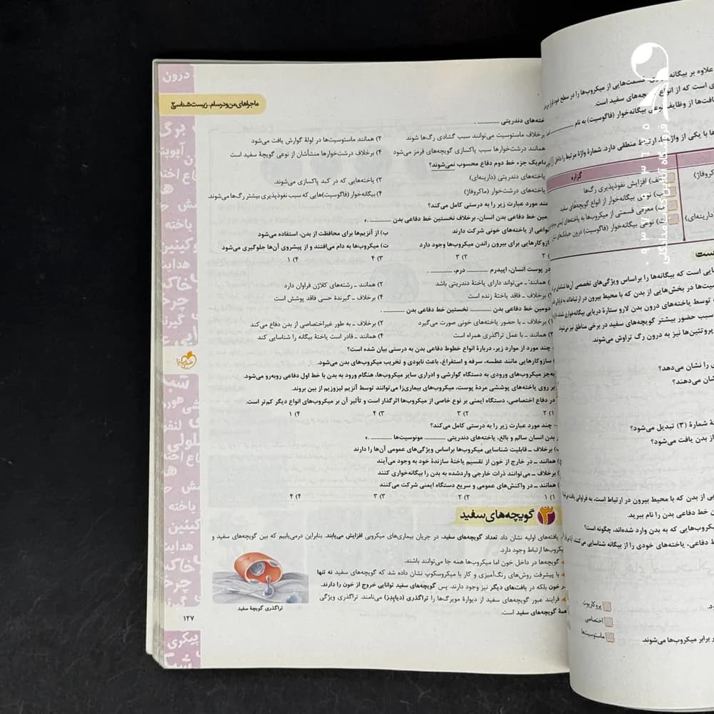 ماجرای بیست زیست‌ شناسی پایه یازدهم | خیلی سبز | خرید و معرفی — تصویر ۳