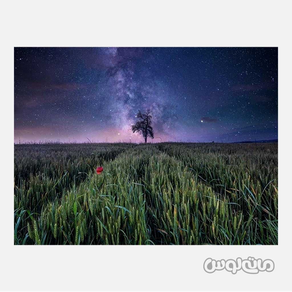 پازل آسمان شب بر فراز مزرعه ذرت 1500 قطعه رونزبرگر — تصویر ۲