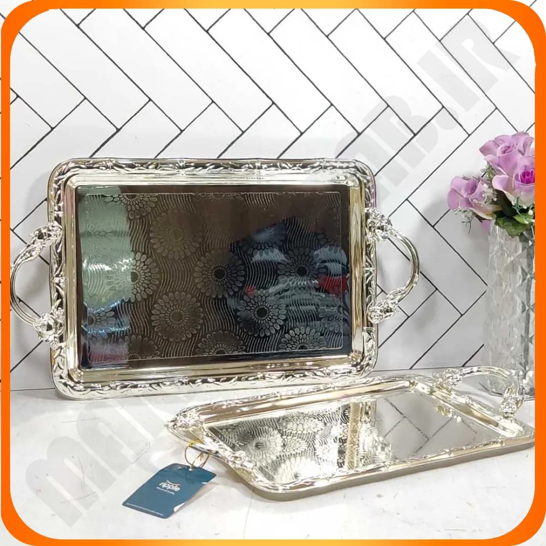 سینی 2 تکه 1727C2 مدل ریپل اوربیت