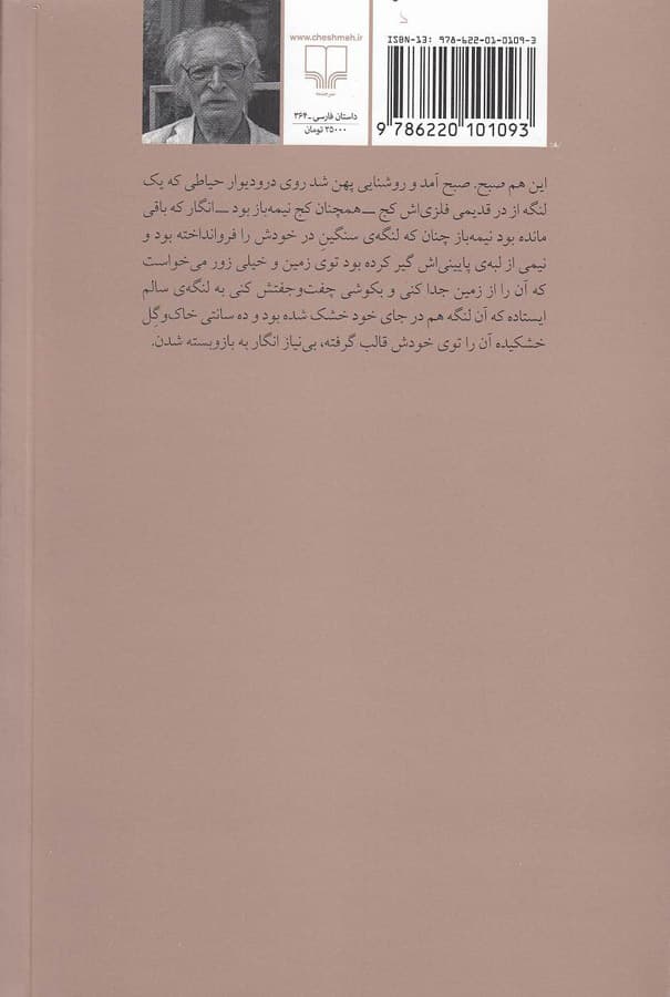 بيرون در اثر محمود دولت آبادی — تصویر ۲