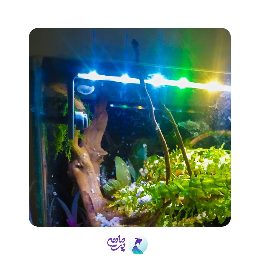 ال ای دی آکواریوم جینگی مدل N-1160P چند رنگ — تصویر ۲