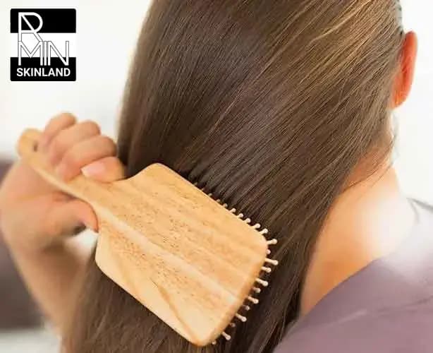 برس مو چوبی بامبو دی اس دی مدل 800DD — تصویر ۳