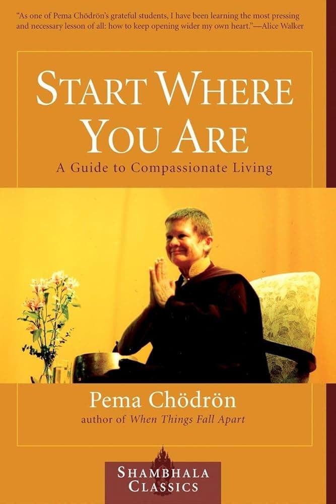 کتاب Start Where You Are: A Guide to Compassionate Living (از همینجا شروع کن: راهنمایی برای زندگی همراه با شفقت) نسخه انگلیسی PDF | پما چودرون