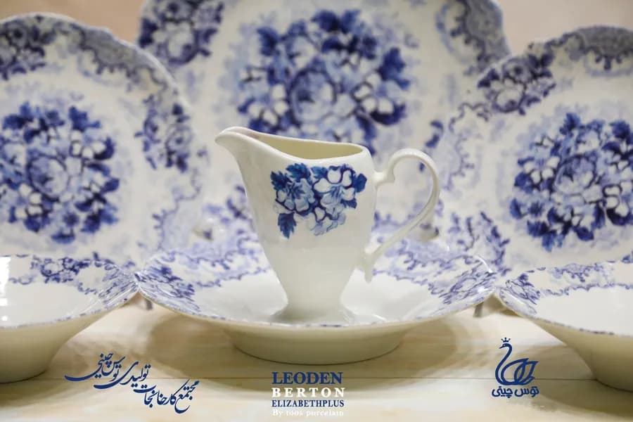 سرویس چینی الیزابت پلاس MAP طرح لئودن 6 نفره 30 پارچه چینی توس قالب برتون — تصویر ۵