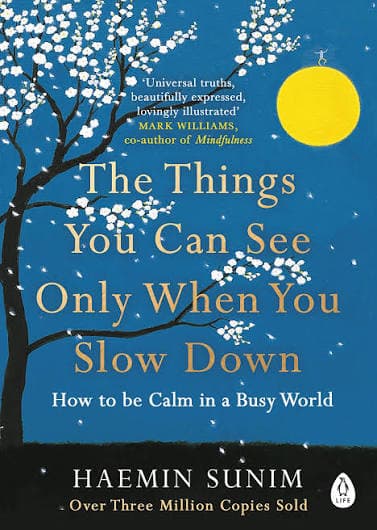 کتاب The Things You Can See Only When You Slow Down (چیزهایی که فقط وقتی آهسته می‌شوی می‌توانی ببینی) نسخه انگلیسی PDF | همین سونیم