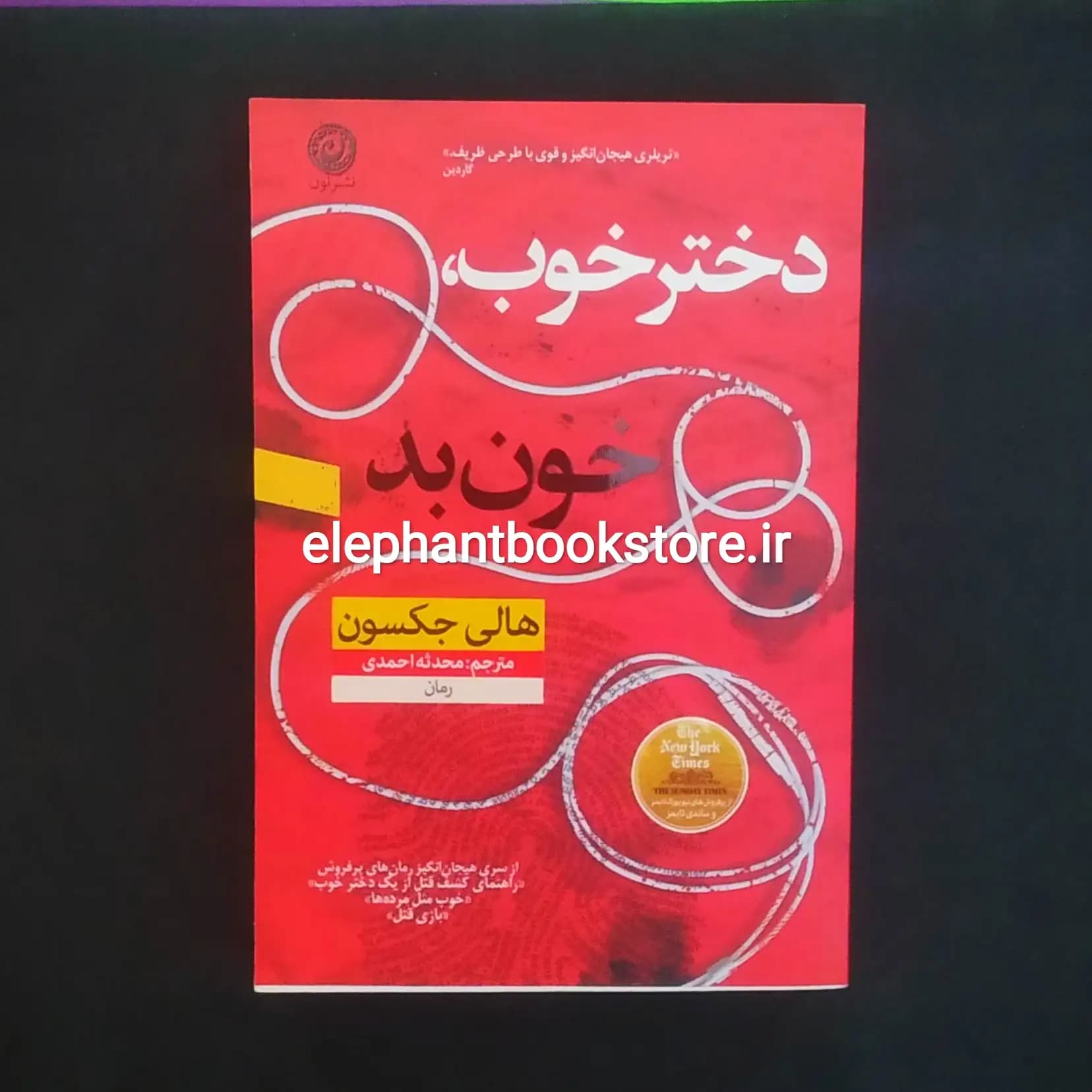 کتاب دختر خوب خون بد اثر هالی جکسون — تصویر ۲