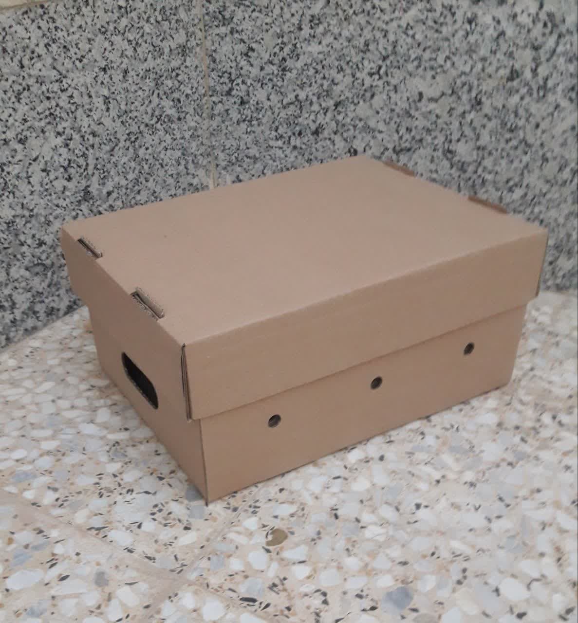 جعبه کارتنی فلفل دلمه و صیفی جات