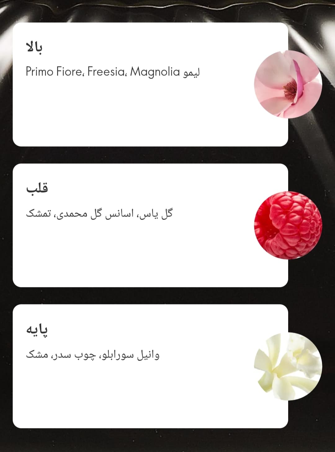 عطر ال ار ناتینگ ALL OR NOTHING — تصویر ۸