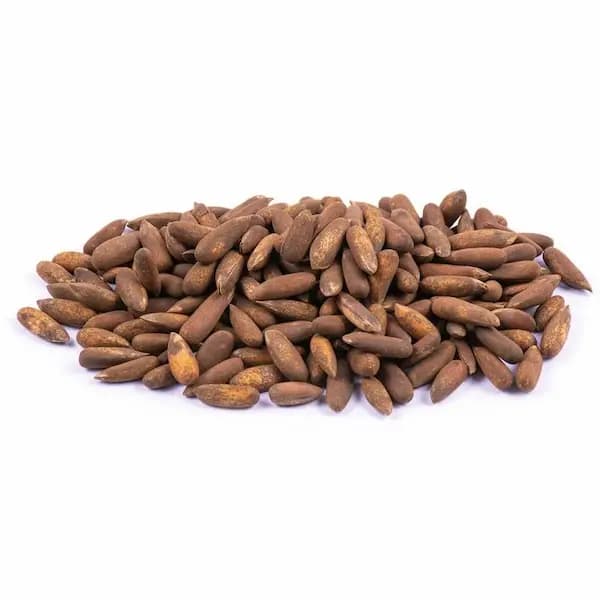 چلغوز خام با پوست اقتصادی