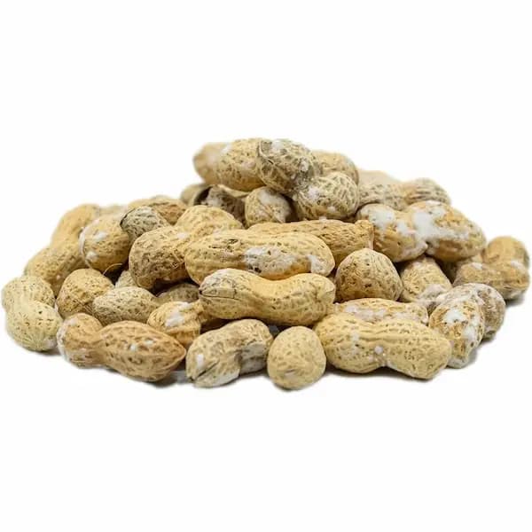 بادام زمینی برشته آستانه با پوست
