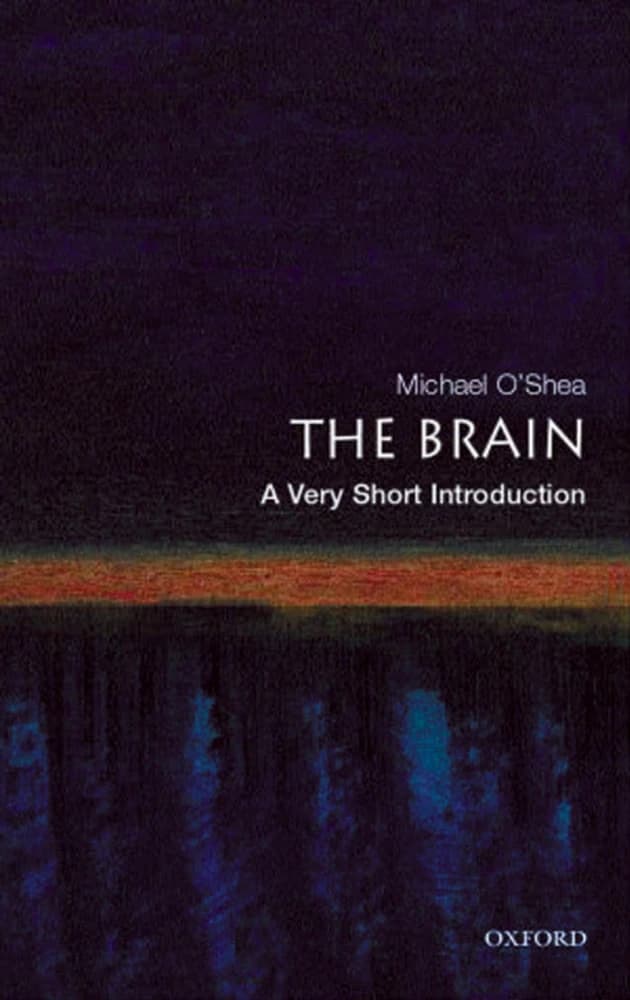 کتاب The Brain: A Very Short Introduction (مغز: درآمدی بسیار کوتاه) نسخه انگلیسی PDF | مایکل اوشی — تصویر ۲