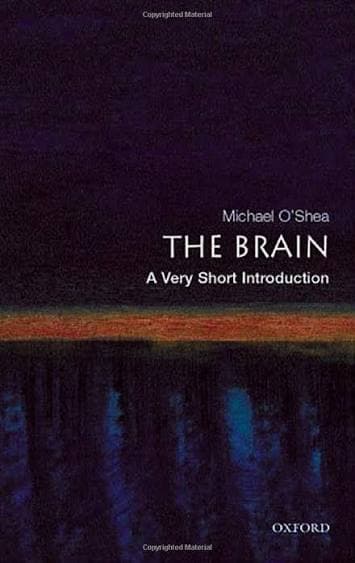 کتاب The Brain: A Very Short Introduction (مغز: درآمدی بسیار کوتاه) نسخه انگلیسی PDF | مایکل اوشی