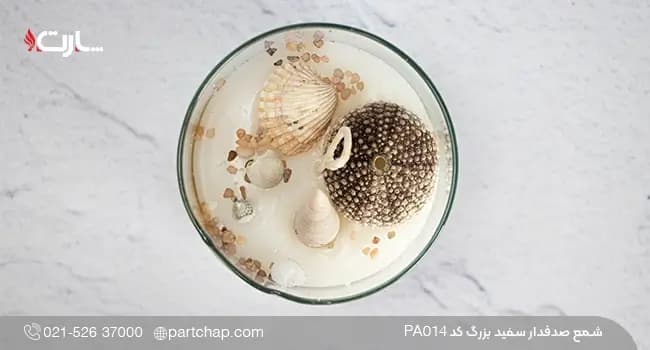 شمع صدفدار سفید بزرگ کد PA014 — تصویر ۳