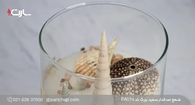 شمع صدفدار سفید بزرگ کد PA014 — تصویر ۲
