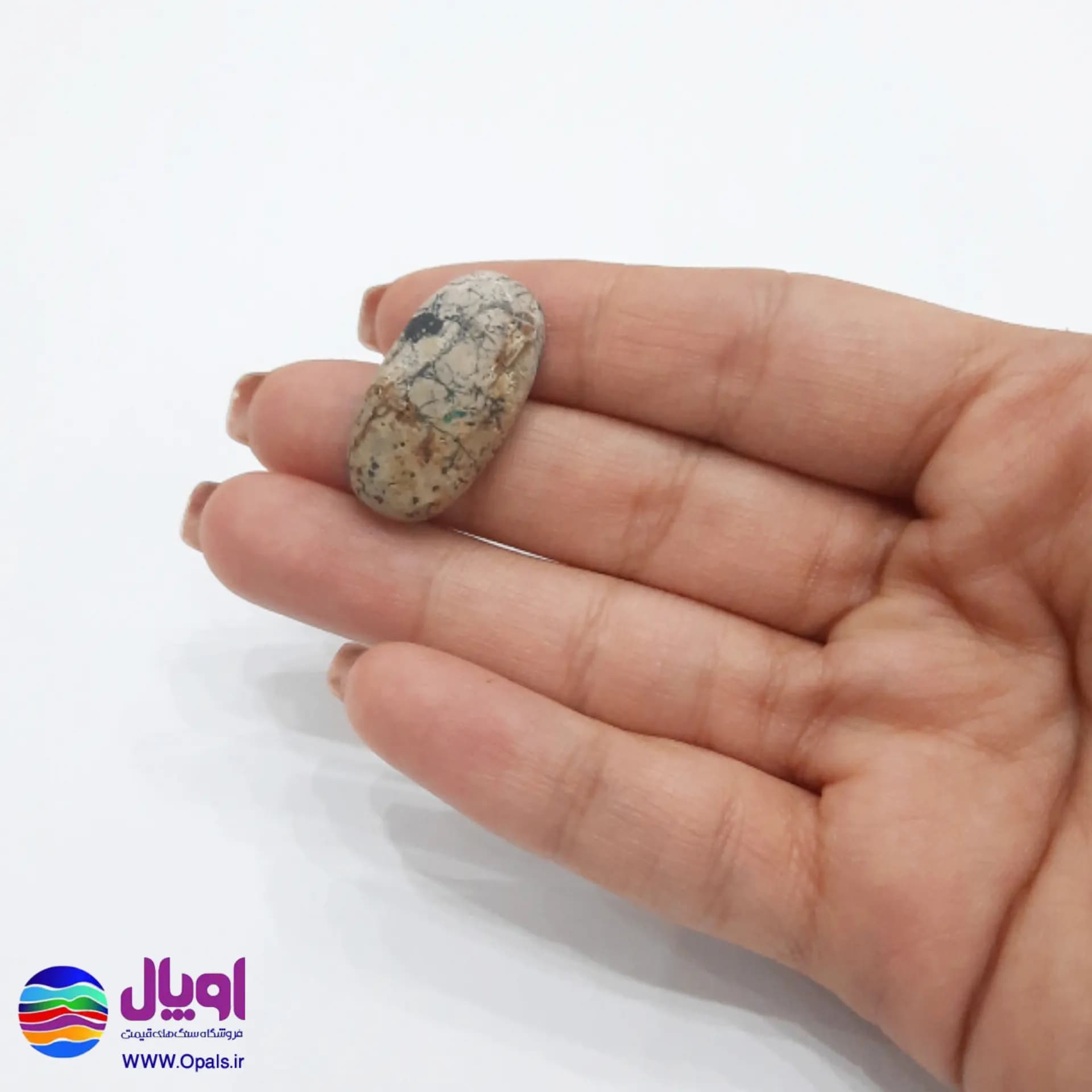 نگین فیروزه سبز نیشابور بیضی 2.8 گرم — تصویر ۴