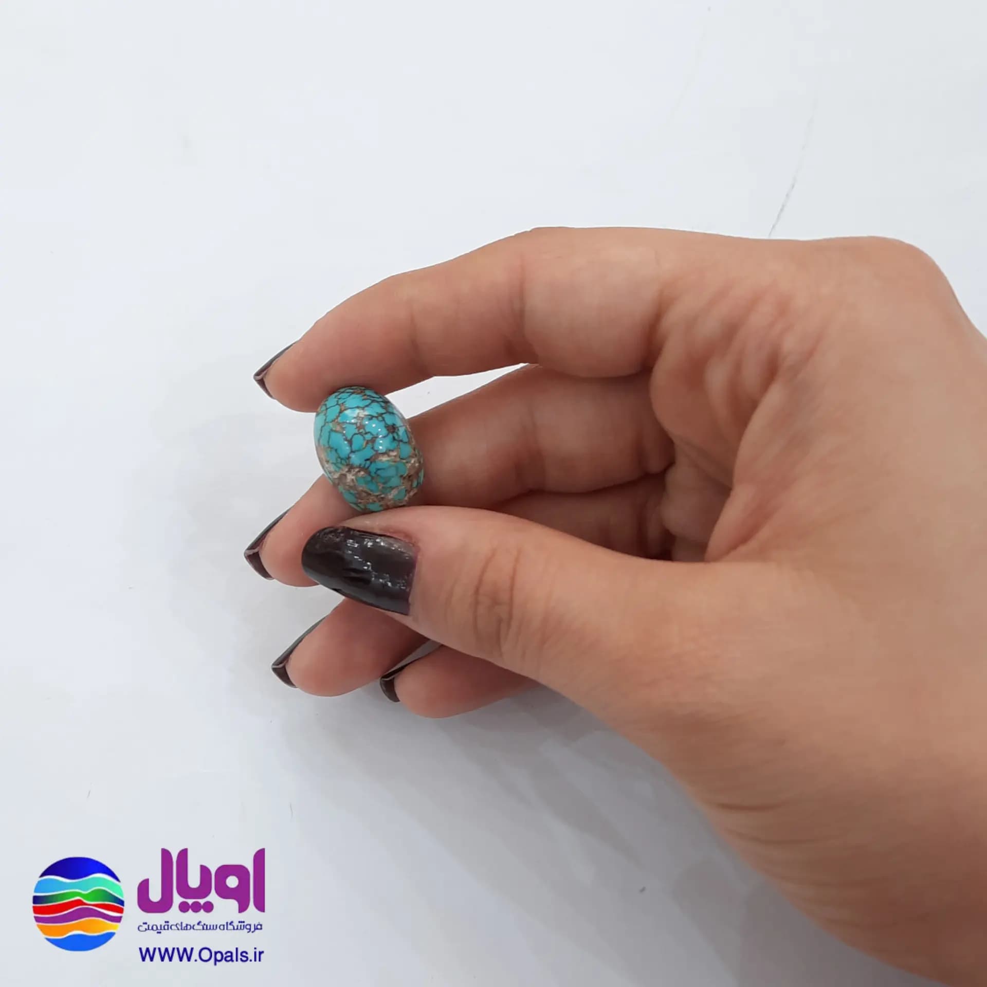 نگین فیروزه نیشابور بیضی 2.8 گرم — تصویر ۳
