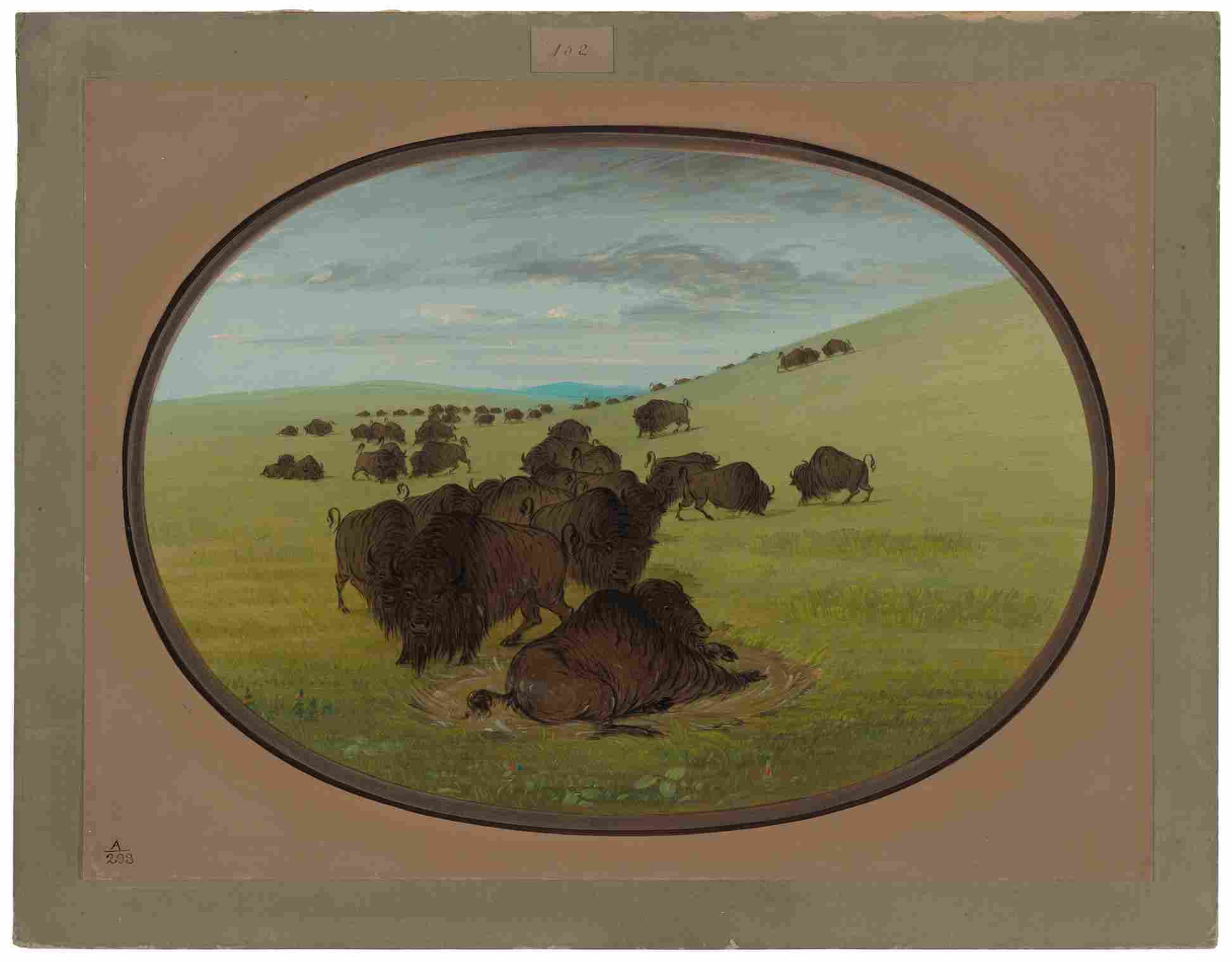 نقاشی George Catlin – A Buffalo Wallow