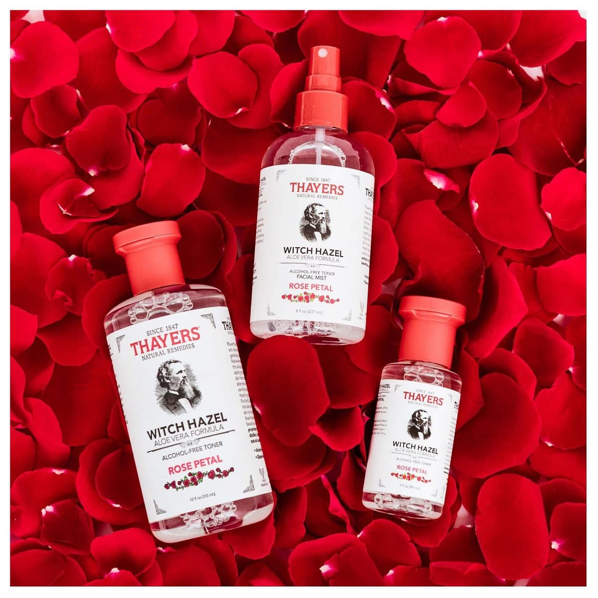 اسپری آبرسان تایرز مدل گل رز rose petal | حجم 237 میل — تصویر ۵