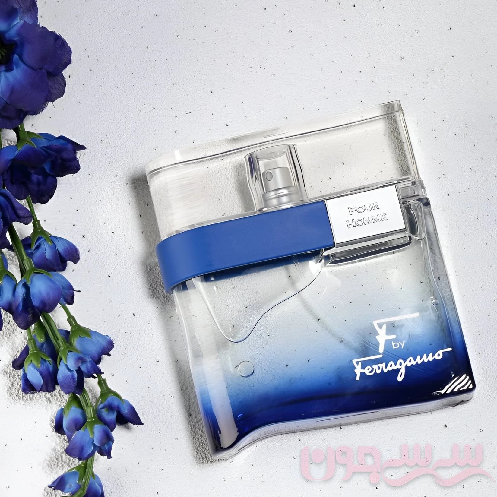 سالواتوره فراگامو اف بای فرگامو فری تایم | Ferragamo Free Time