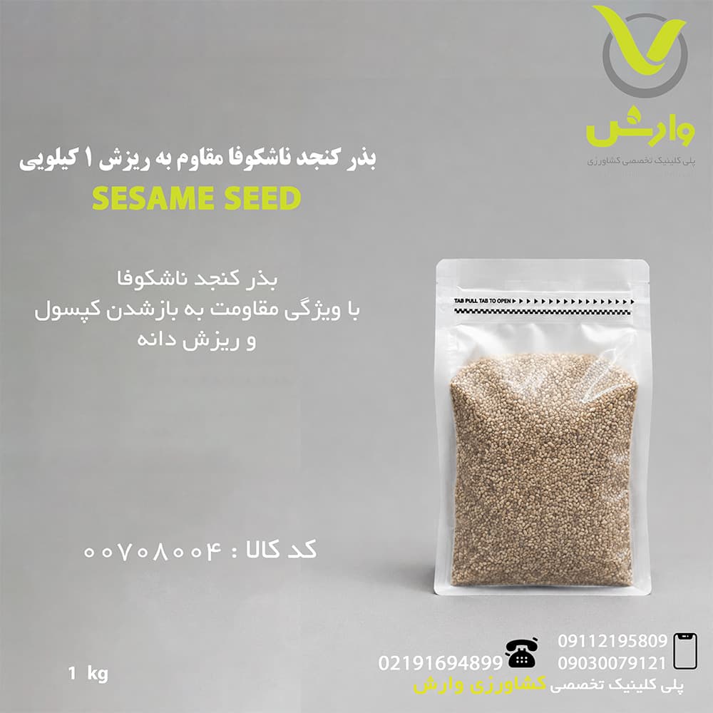 بذر کنجد ناشکوفا مقاوم به ریزش یک کیلویی