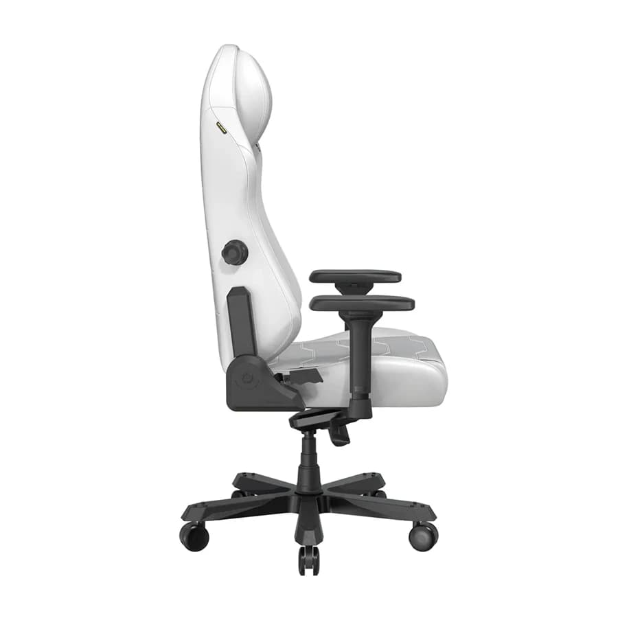 صندلی گیمینگ دی ایکس ریسر Master Series XL White — تصویر ۳