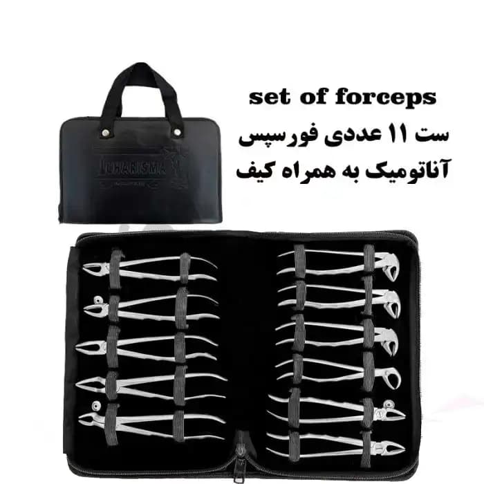 ست فورسپس بزرگسال آناتومیک ۱۱ عددی کاریزما — تصویر ۲