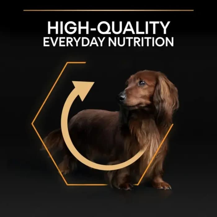 غذا خشک روزانه سگ بالغ نژاد کوچک پروپلن وزن 1 کیلوگرم (زیپ کیپ فله) ProPlan Small and Mini Everyday Nutrition — تصویر ۷